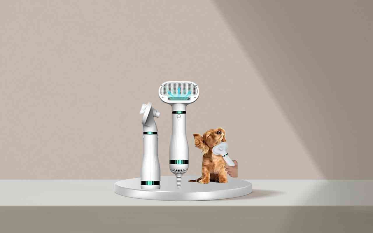 Addestramento efficace con Nice Pet: correggi i comportamenti indesiderati ora